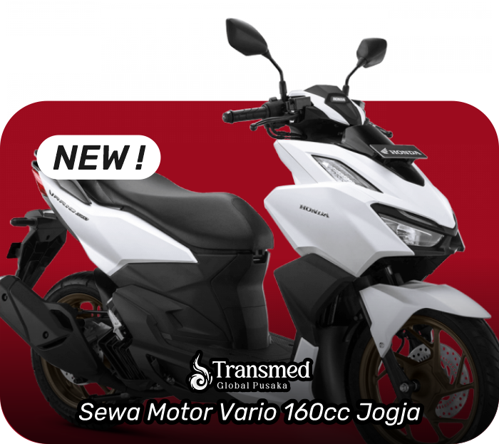 Vario 160cc